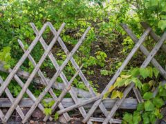 Ausbaubeiträge für ungenutzte, nicht angebundene Grundstücke zahlen?